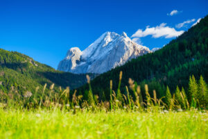 Mountains peaks, forest and meadow. Mountain range and clear blue sky. Swiss landscape in the summertime. Large resolution photo.